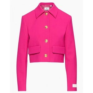 NWT Aritzia Babaton Frances Jacket